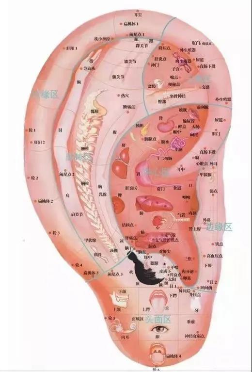微信图片_20211122171053.jpg